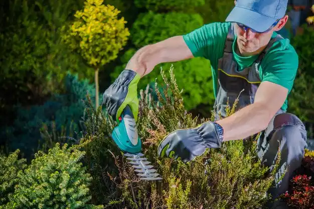 landscaping services Falmouth